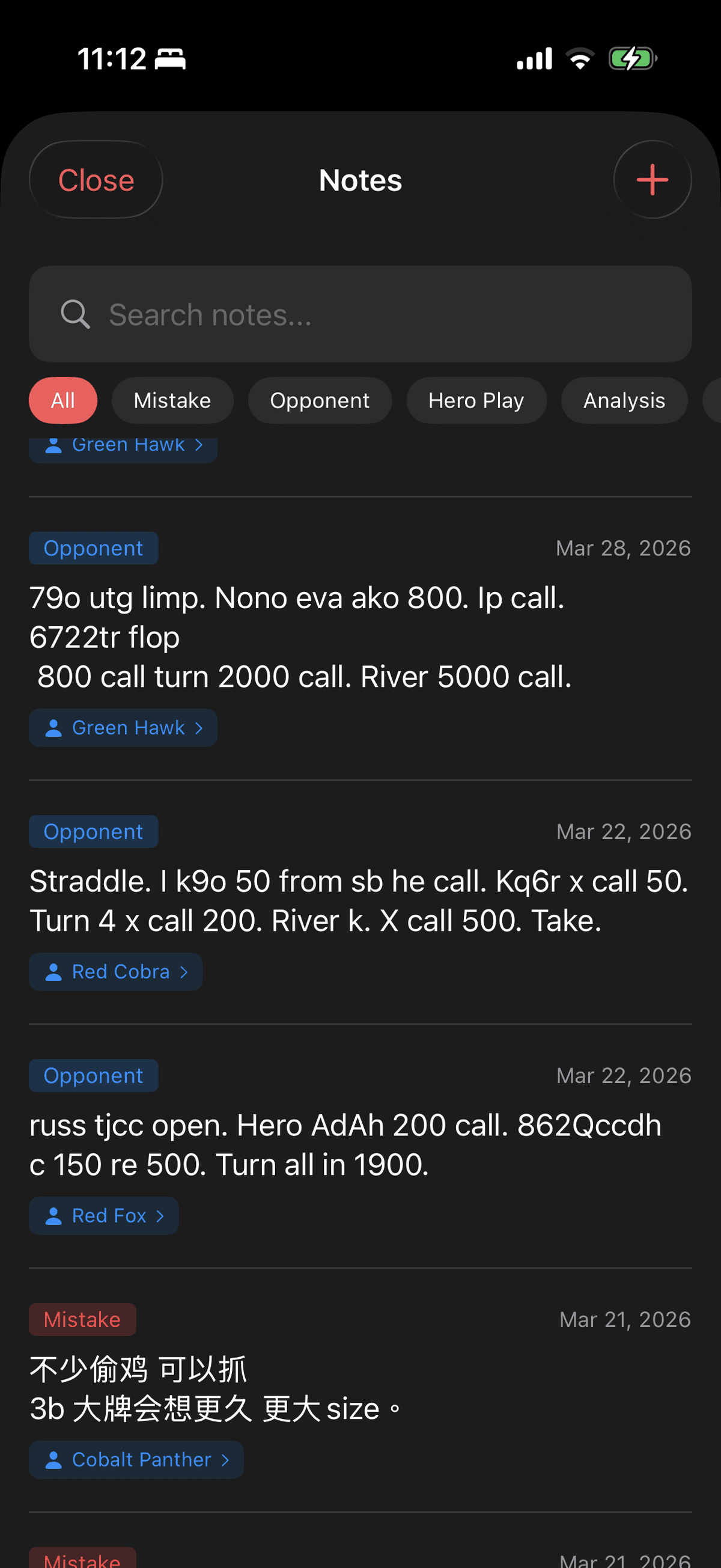 Player Notes screenshot